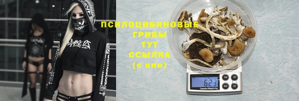 дурь Пестово