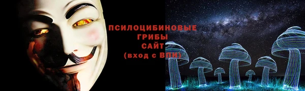 марки lsd Переславль-Залесский