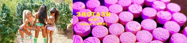 дурь Пестово